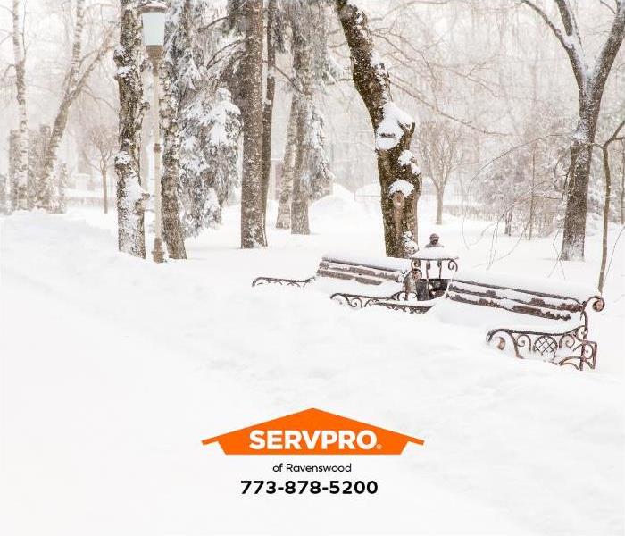 Snow covered park bench and snow covered trees.